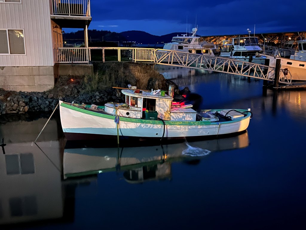 Night Shot in Water.jpg