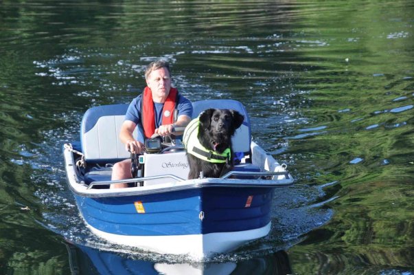 Alert Dog on the Skiff.jpg