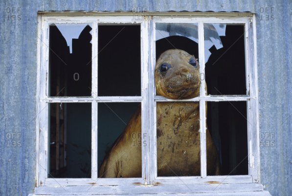 windowseal.jpg