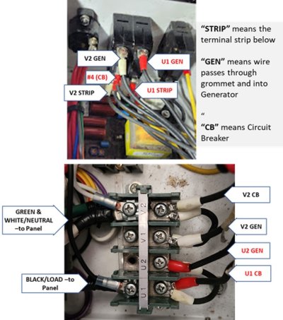 Terminals Labeled.jpg