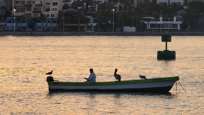 Panga FIsherman La Paz.jpg