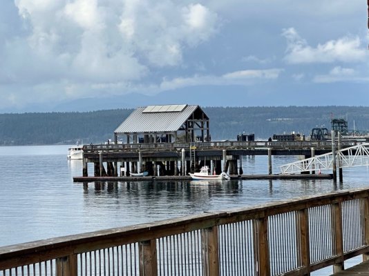 Port Townsend Public Dock.jpg