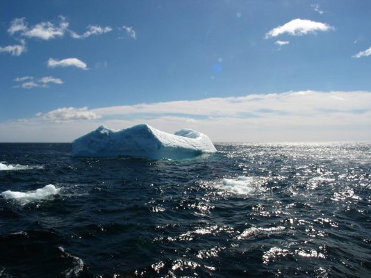 Iceberg scene2.jpg