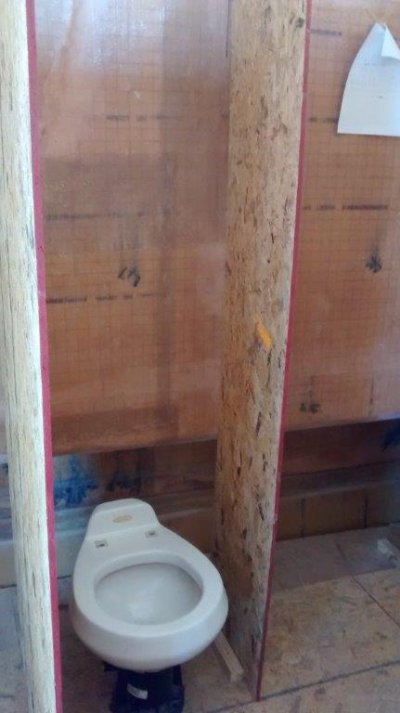 Plywood interior the head.jpg