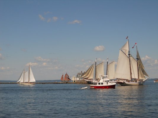 schooners3.jpg