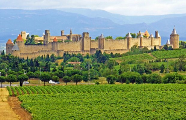 Vineyards, Carcassonne..jpg