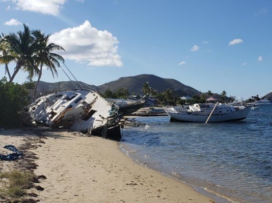 Trellis bay.jpg