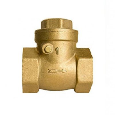 Brass_Swing_check_Valve_BSP_1.jpg