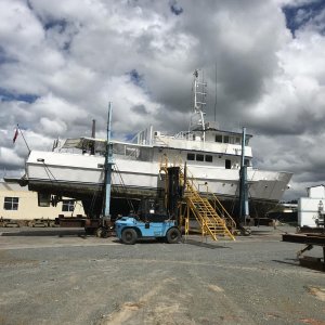 Takapu out of the water