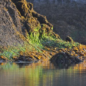 Low Tide, Red Bluff Bay