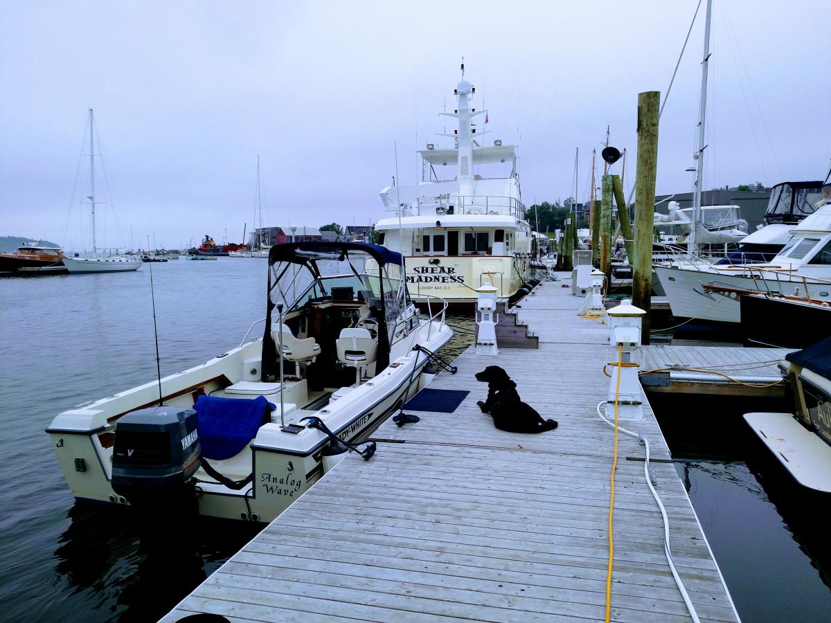 At the front Street marina in Belfast Maine