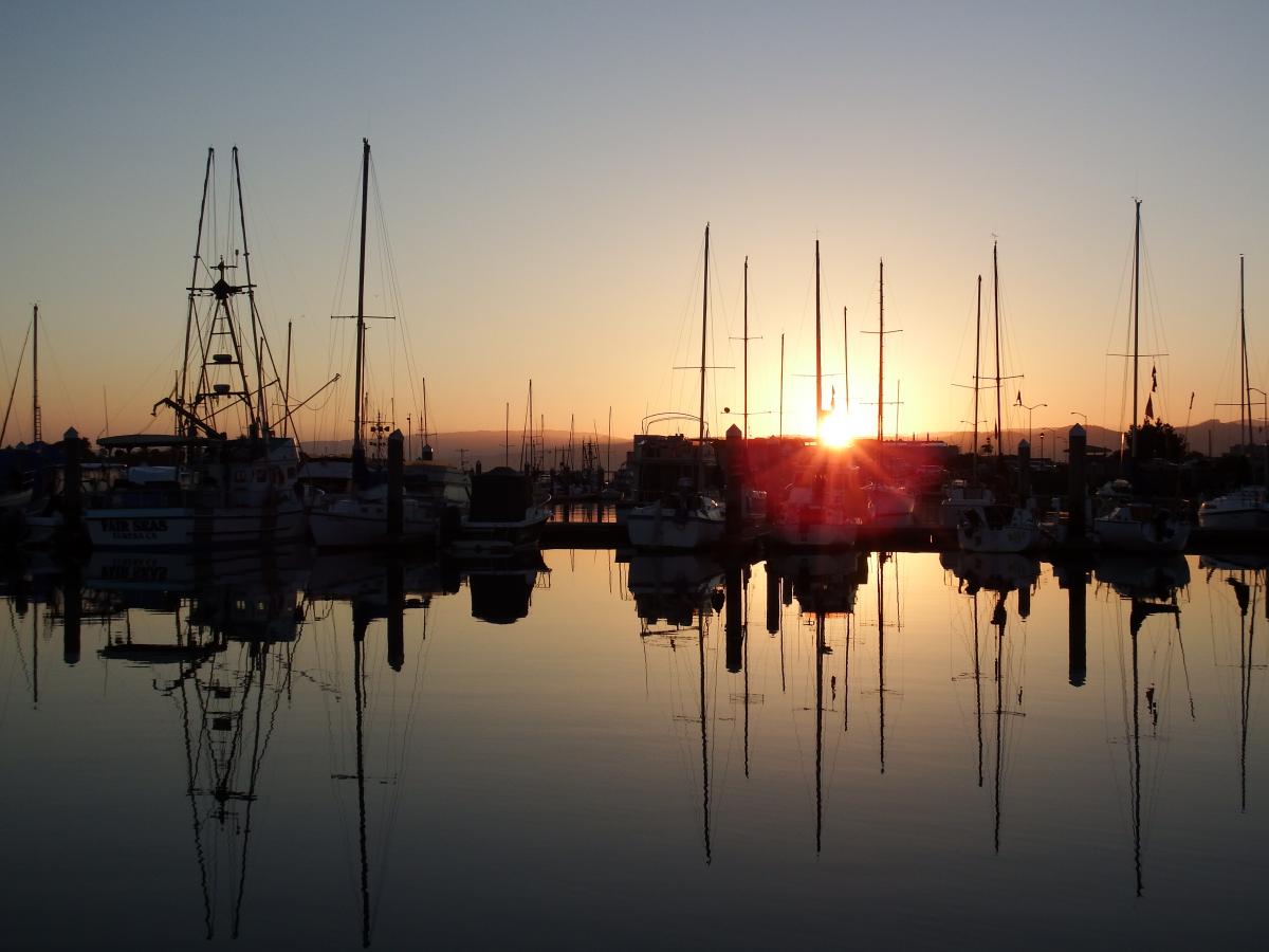 Eureka Marina at sunrise