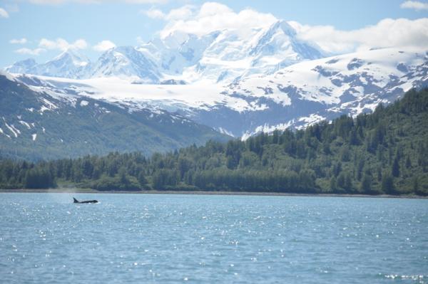 Fairweather mtns Glacier Bay