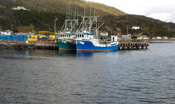 fishing boats