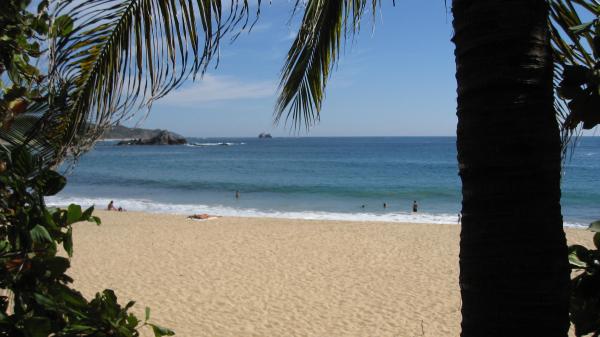 Mazunte View