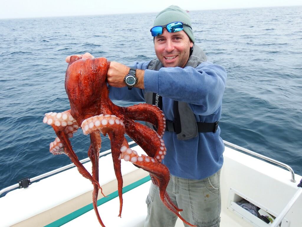 Pacific Giant Octopus off Cape Mendocino