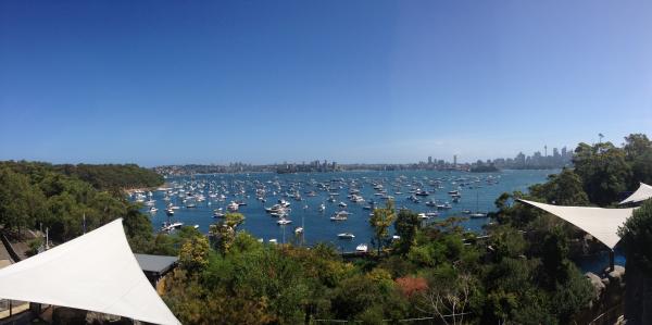 Sydney harbour New Years Eve 2013