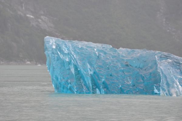 Tracy Arm